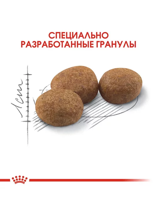 Сухой корм Royal canin Кошек для собак, стерилизованные, 10 кг, фото 4