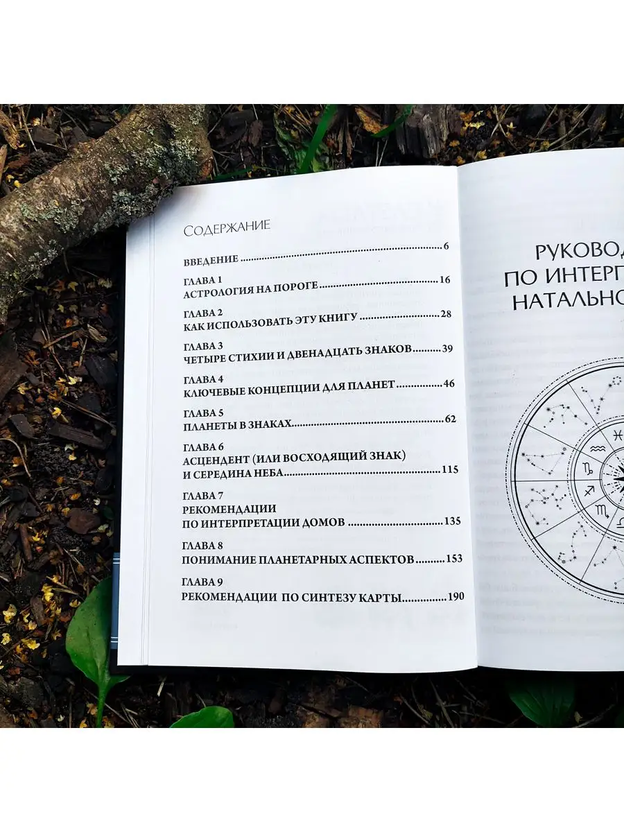 Руководство по интерпретации натальной карты | Стивен Арройо occultist.shop  172189199 купить за 2 376 ₽ в интернет-магазине Wildberries