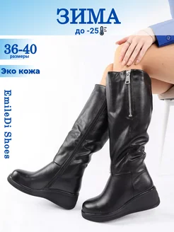 Сапоги зимние на широкую ногу EmileDi Shoes 172193309 купить за 4 580 ₽ в интернет-магазине Wildberries