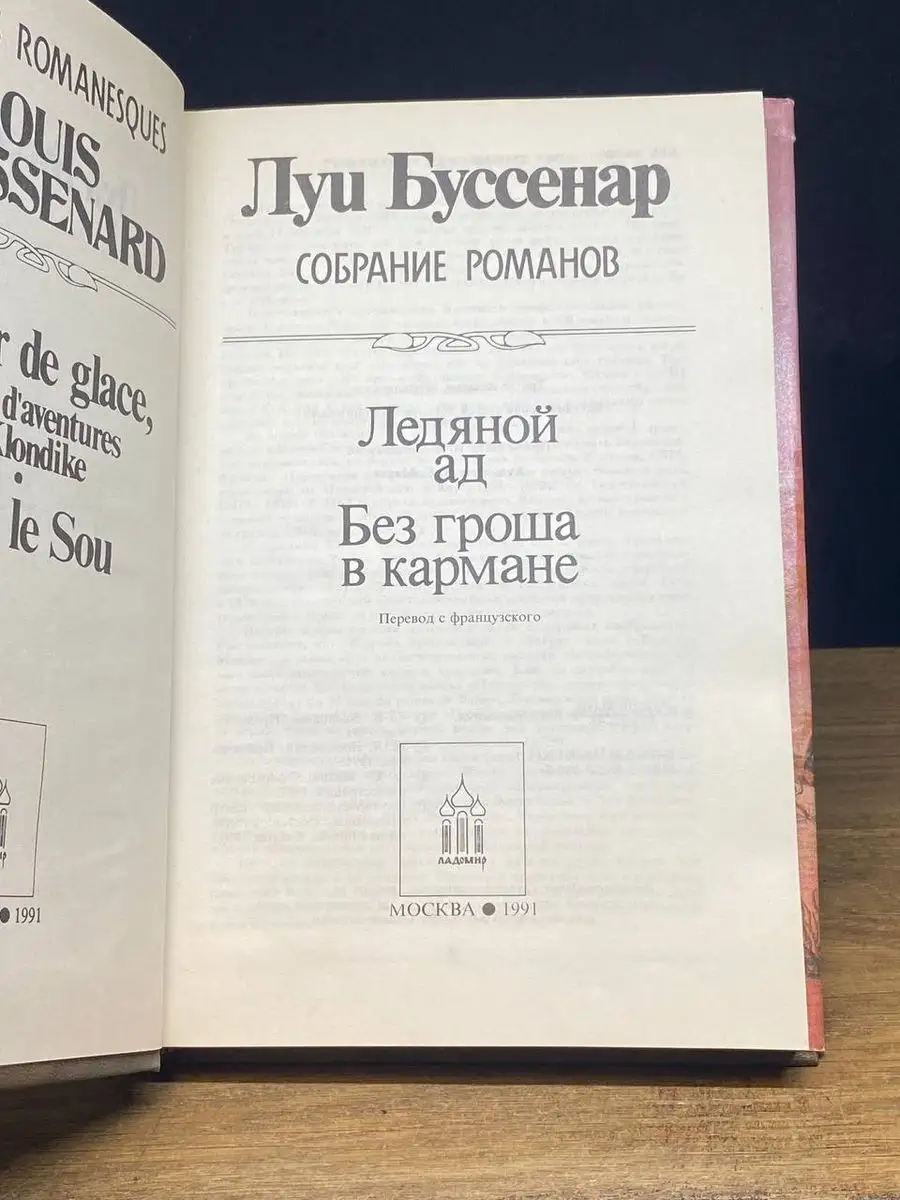 Ледяной ад. Без гроша в кармане Ладомир 172196899 купить за 362 ₽ в  интернет-магазине Wildberries