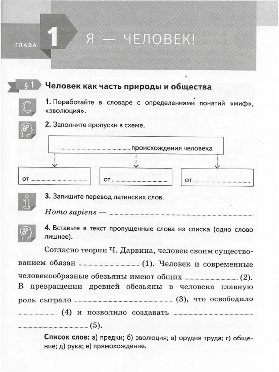 Рабочая тетрадь Обществознание 6 класс Соболева О.Б. Вентана-Граф 172209813  купить за 296 ₽ в интернет-магазине Wildberries