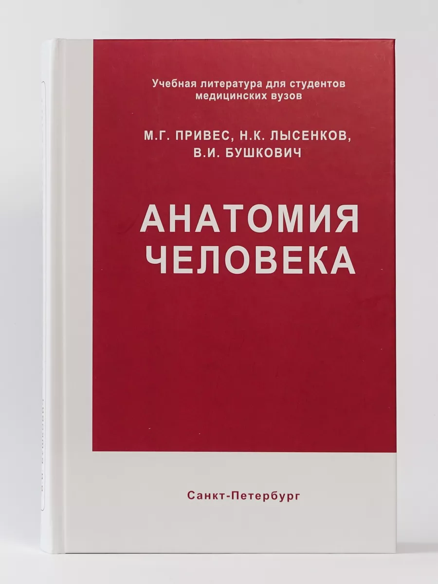 Анатомия человека. Привес. Спб МАПО 172234118 купить за 3 520 ₽ в  интернет-магазине Wildberries