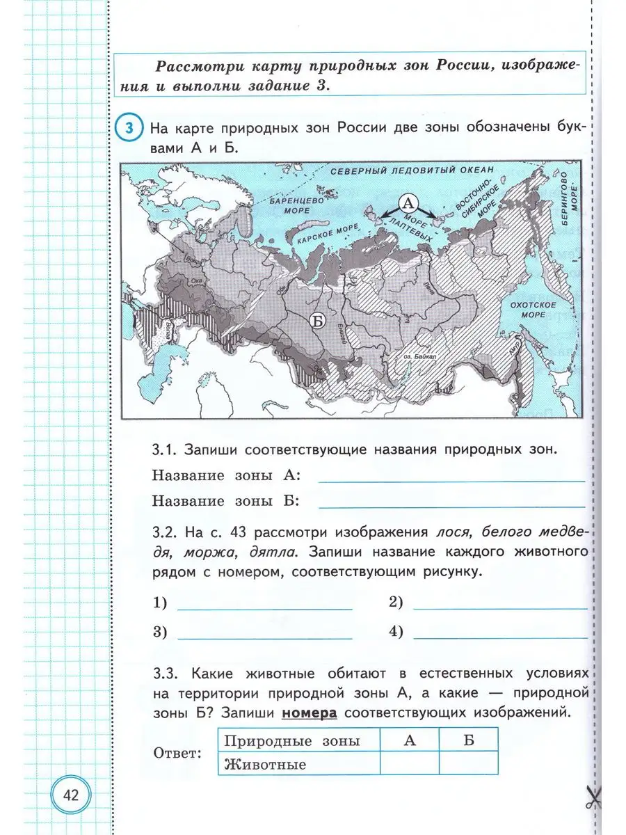 ВПР 4 класс Окружающий мир Русский язык 10 вариантов Экзамен 172284476  купить в интернет-магазине Wildberries