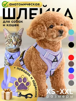 Шлейка для собак мелких средних пород и кошек с поводком Savipets 172324354 купить за 557 ₽ в интернет-магазине Wildberries