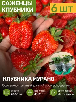 Интернет-магазин Wildberries: широкий ассортимент товаров - скидки каждый день!