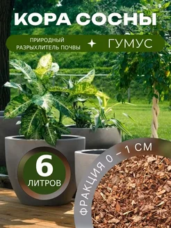 Кора сосны гумус 0-1 см 6 л MV&DOM 172360905 купить за 199 ₽ в интернет-магазине Wildberries