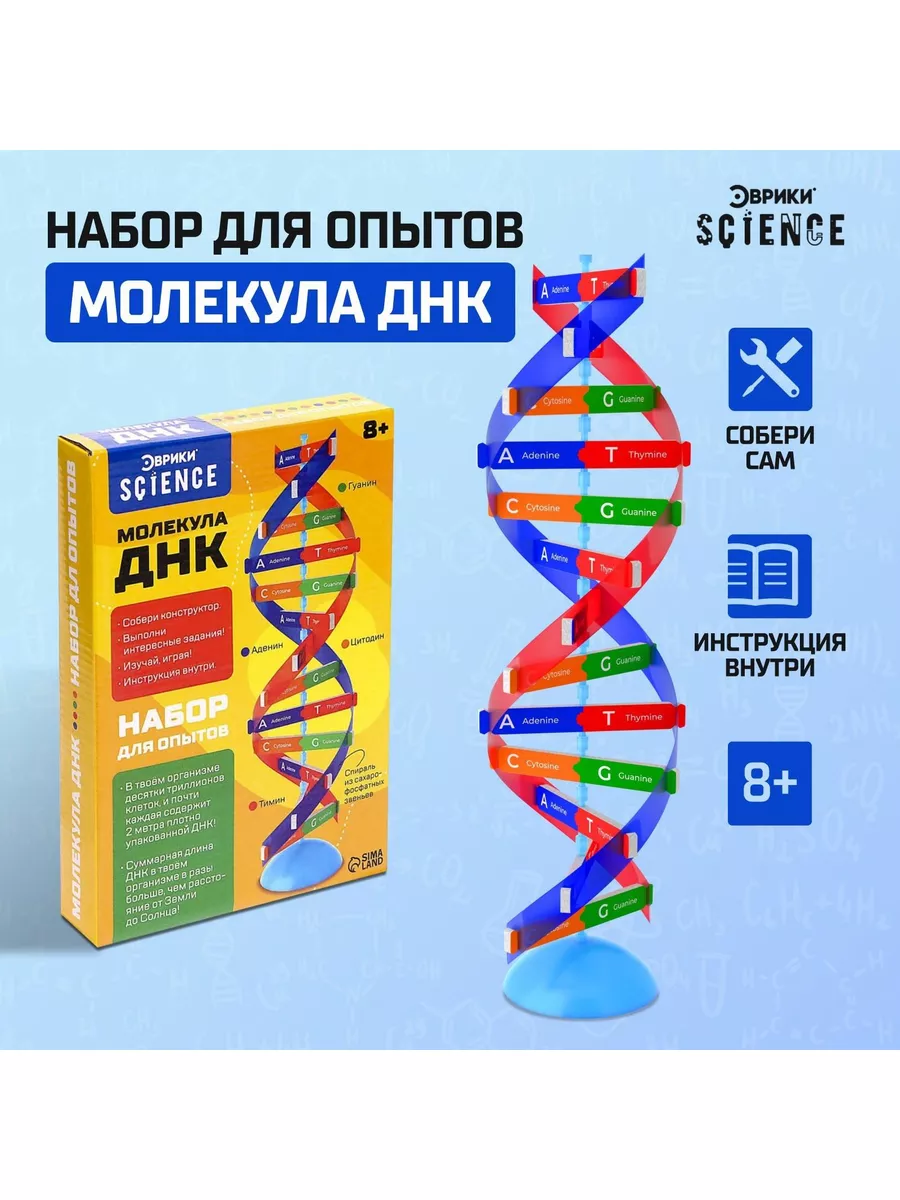 Набор для опытов Молекула ДНК MIKUS 172425384 купить в интернет-магазине  Wildberries