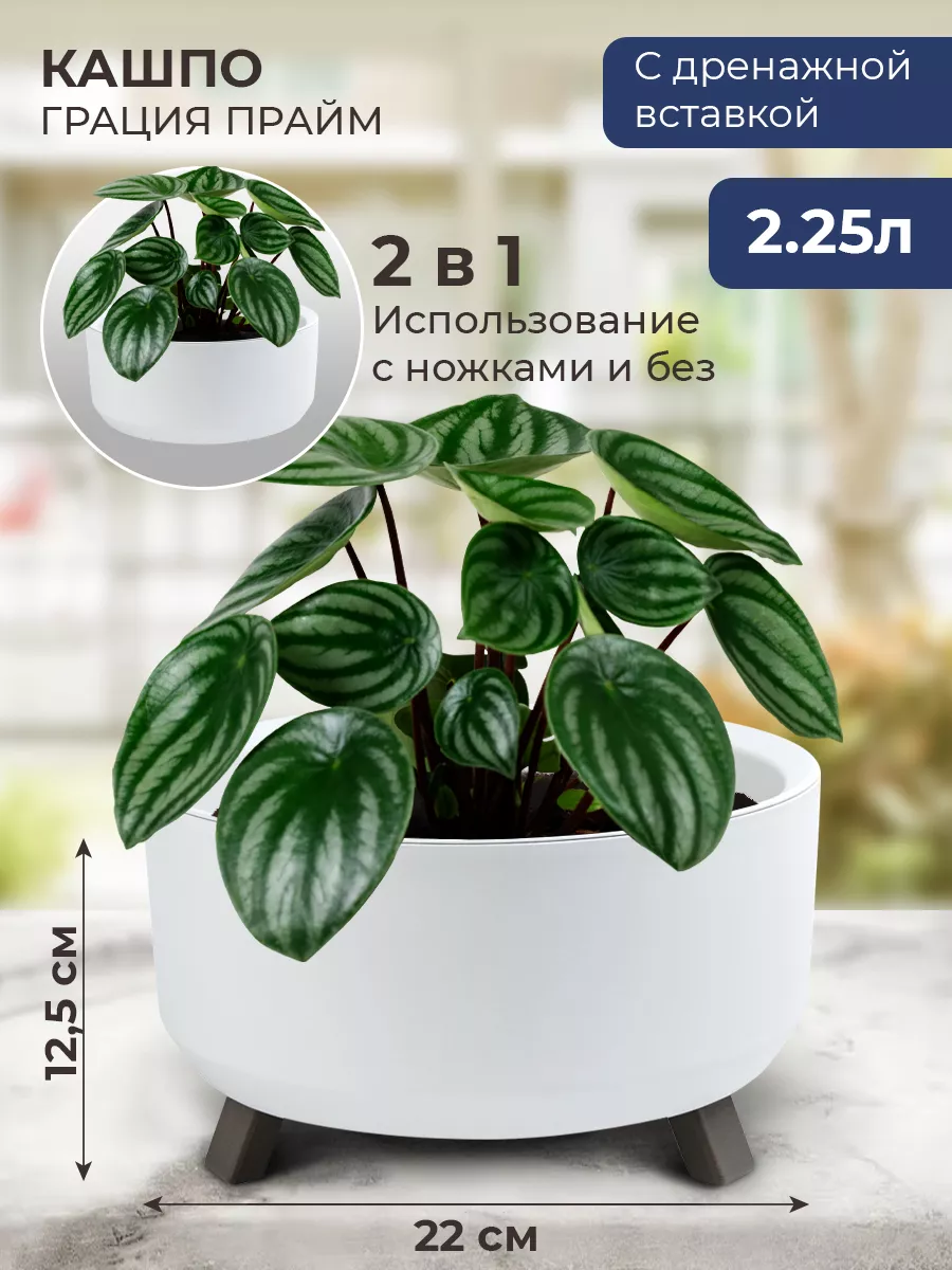 Кашпо для суккулентов,...