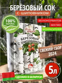 Березовый сок натуральный 5 литра с шиповником Health-Food 172625170 купить за 779 ₽ в интернет-магазине Wildberries