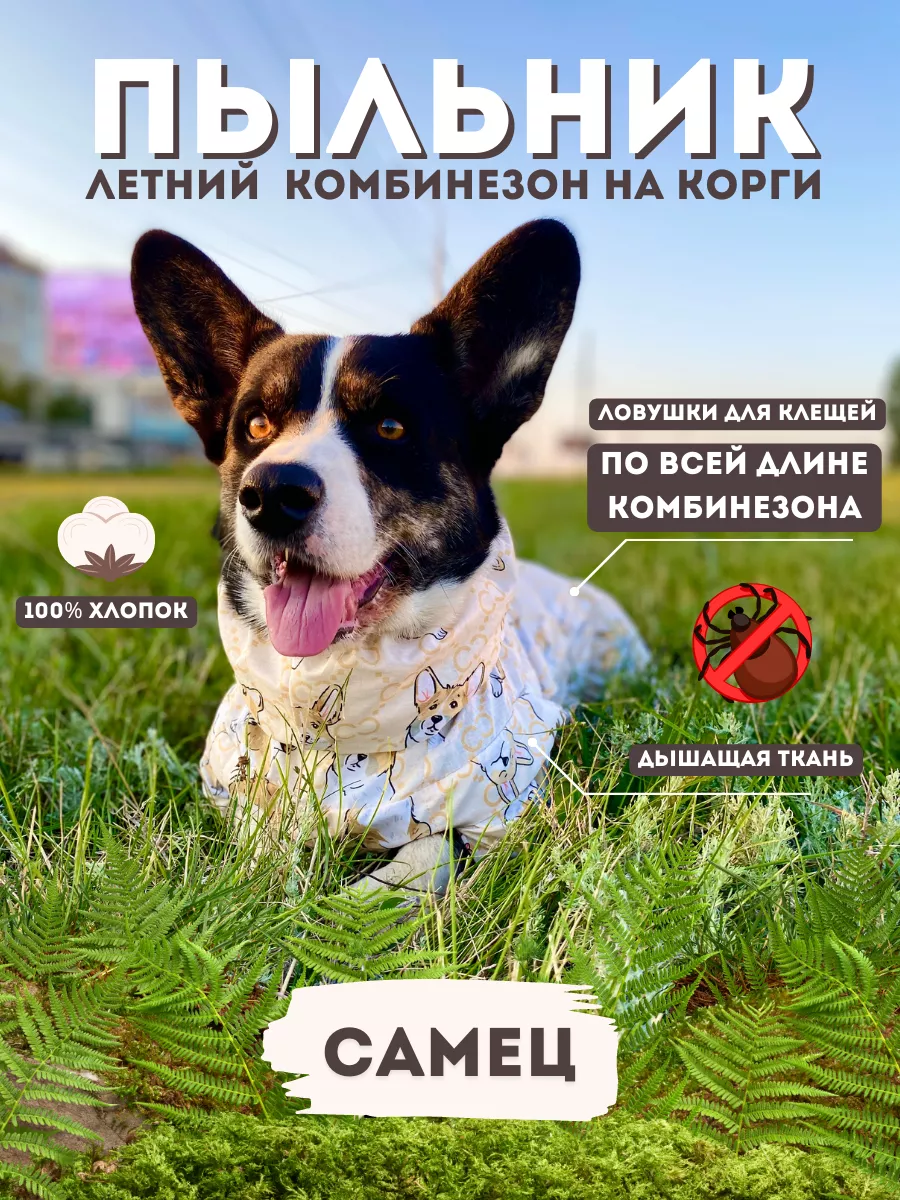 Летний комбинезон для собак Корги Rain Dog 172685676 купить в  интернет-магазине Wildberries