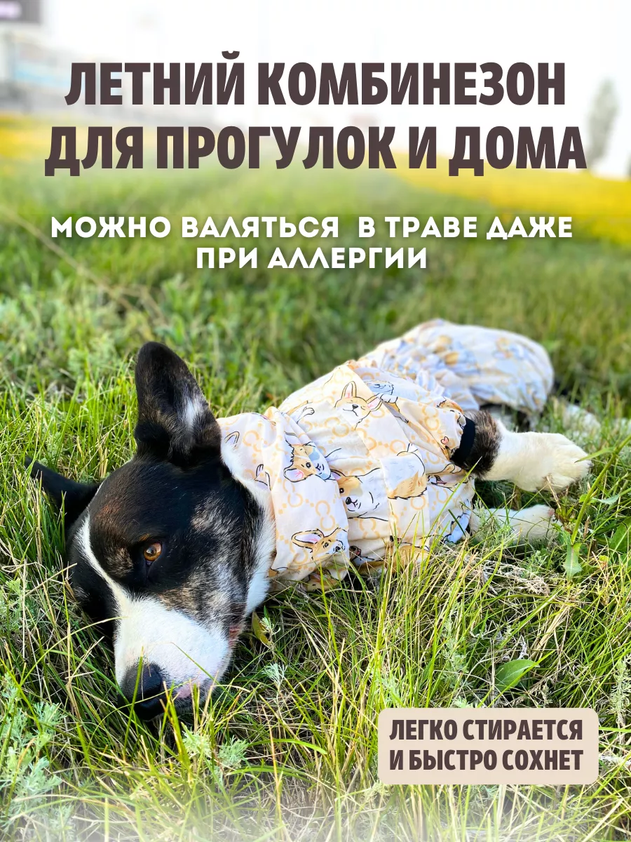 Летний комбинезон для собак Корги Rain Dog 172685676 купить в  интернет-магазине Wildberries