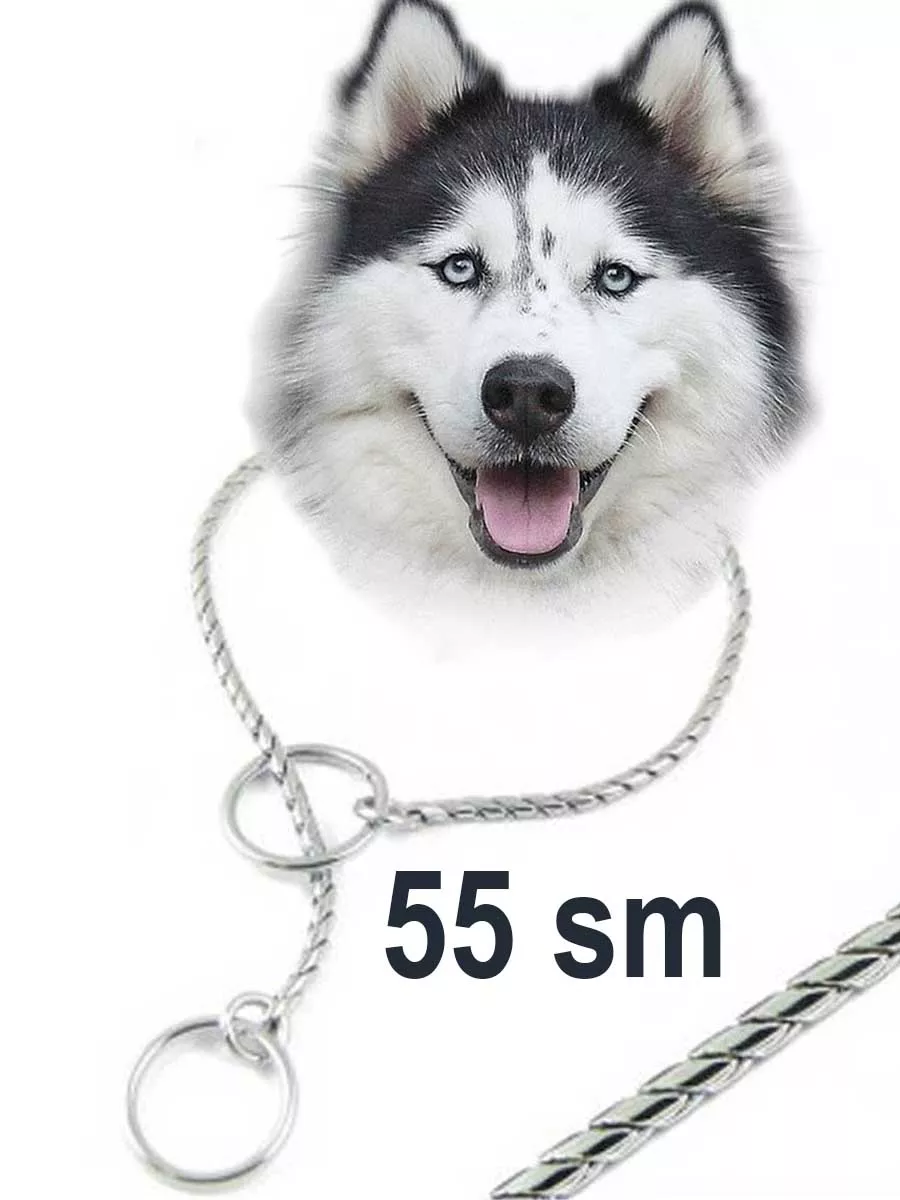 Цепочка кобра 55 см средней толщины серебристая Dog-60 172686295 купить за  1 911 ₽ в интернет-магазине Wildberries