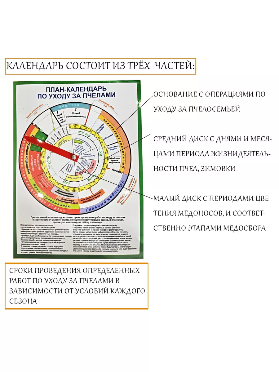 План-календарь по уходу за пчелами