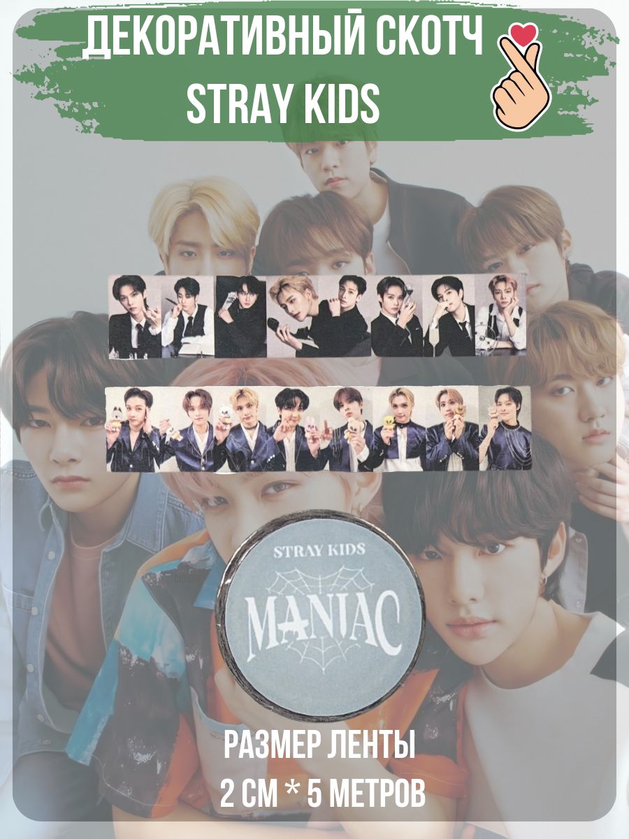 Фф про stray kids