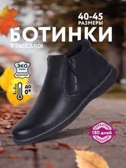 Ботинки мужские демисезонные T.TACCARDI 172751871 купить за 4 012 ₽ в интернет-магазине Wildberries