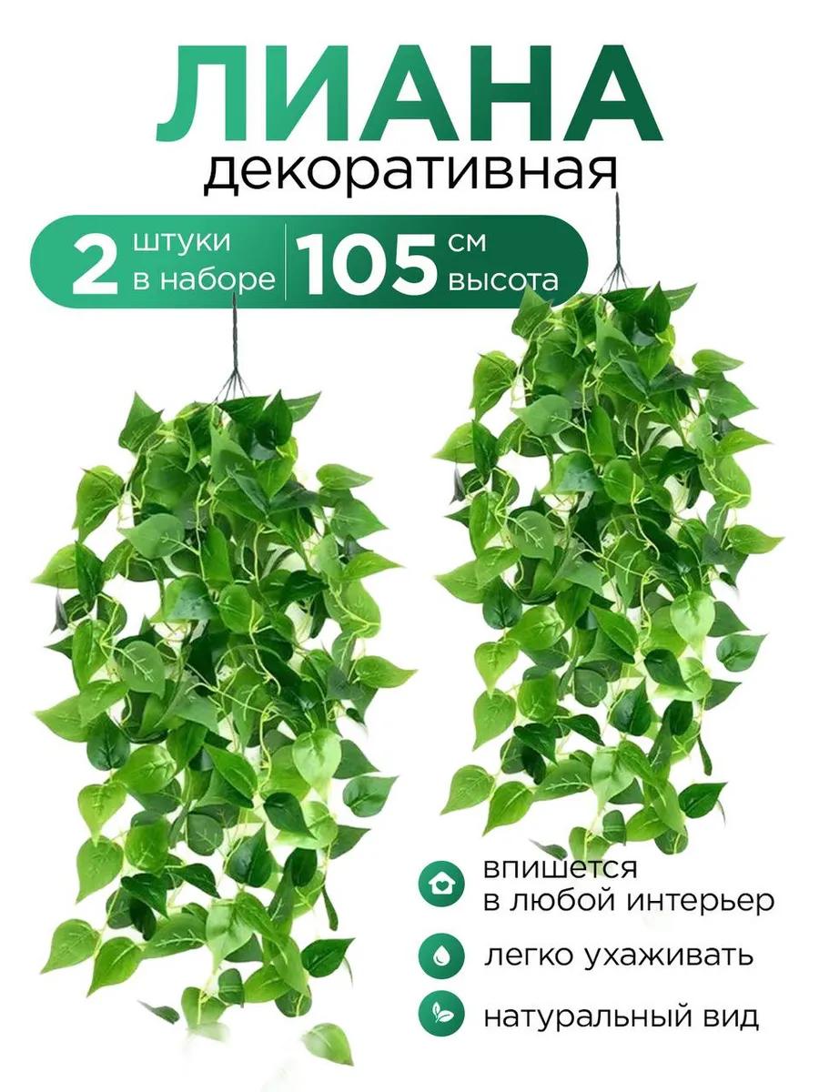 Декоративное растение лиана на стену для декора интерьера