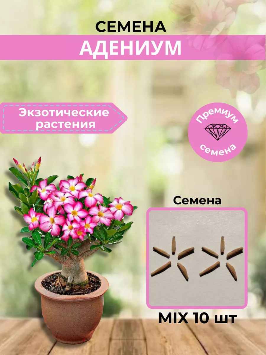 АДЕНИУМ/Адениум семена сорт MIX- 10 шт. ТOП-SHOP 172813108 купить за 481 ₽  в интернет-магазине Wildberries