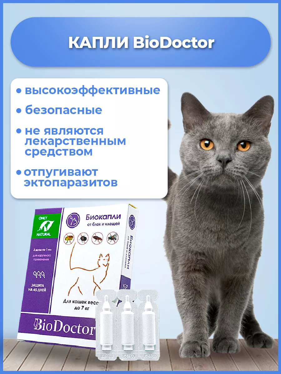 Капли от блох и клещей для кошек BioDoctor 172828225 купить за 222 ₽ в  интернет-магазине Wildberries