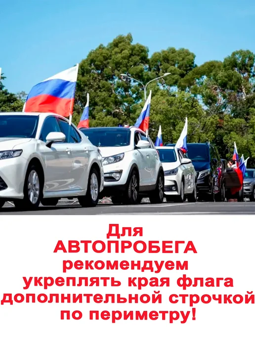 Флаж.ОК Флаг Пограничных войск России большой, вариант, фото 2