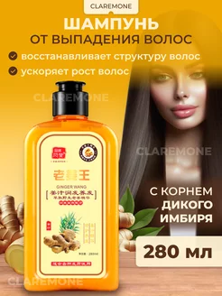 Шампунь с корнем имбиря HIISEES 172854745 купить за 417 ₽ в интернет-магазине Wildberries