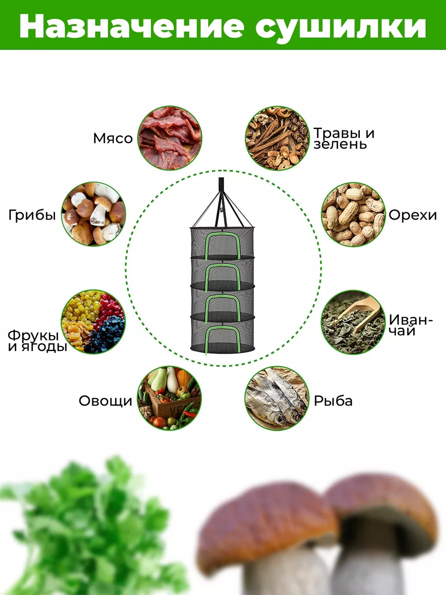 Овощи, фрукты, зелень, грибы