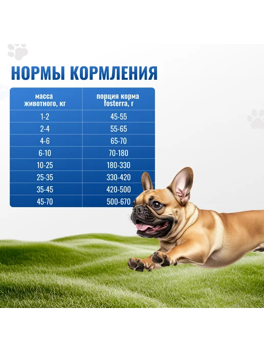 Сухой корм Fosterra Суперпремиум для собак, 1,5 кг, фото 3