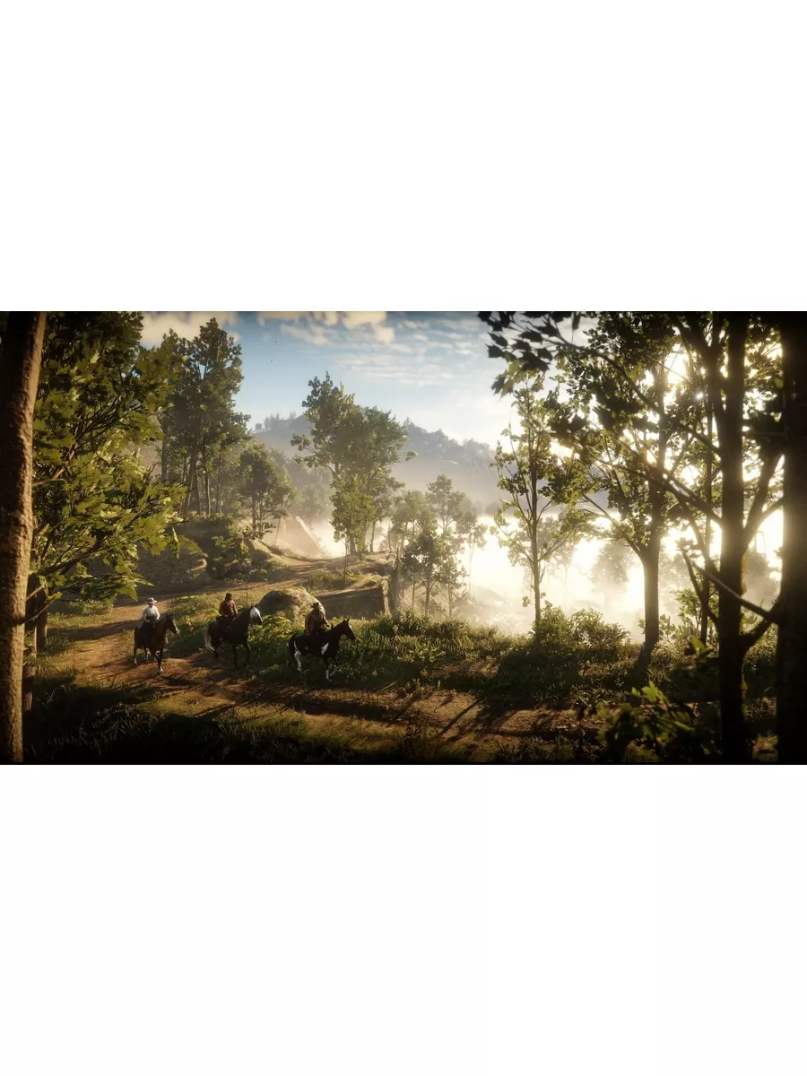 Игра Red Dead Redemption 2 для PS4, Русские субтитры Sony Playstation 4  172891488 купить за 2 227 ₽ в интернет-магазине Wildberries