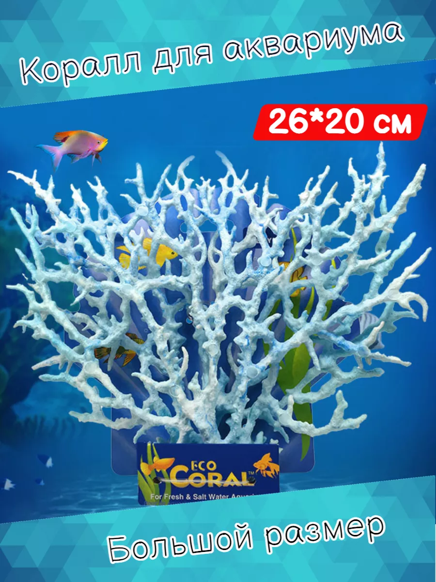 мягкие кораллы | живые кораллы для морского аквариума