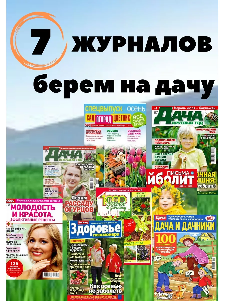 7 шт-Журнал Сад,Журнал огород,рецепты здоровья,кроссворды АКЛЕТ 172916689  купить за 283 ₽ в интернет-магазине Wildberries