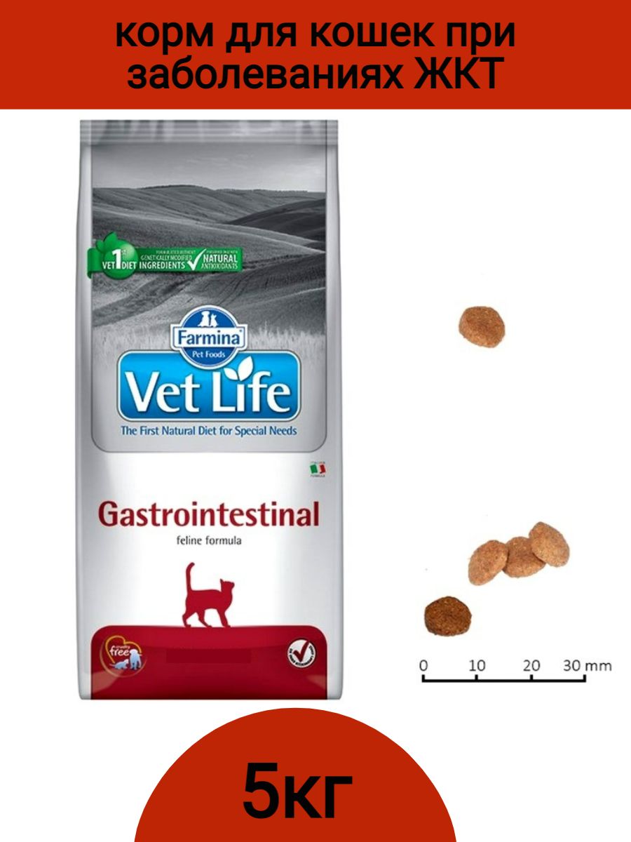 Life cat купить. Farmina vet Life Gastro intestinal для кошек сухой. Фармина Gastrointestinal для кошек. Vet Life Gastrointestinal корм для кошек. Vet Life Gastrointestinal корм для собак.