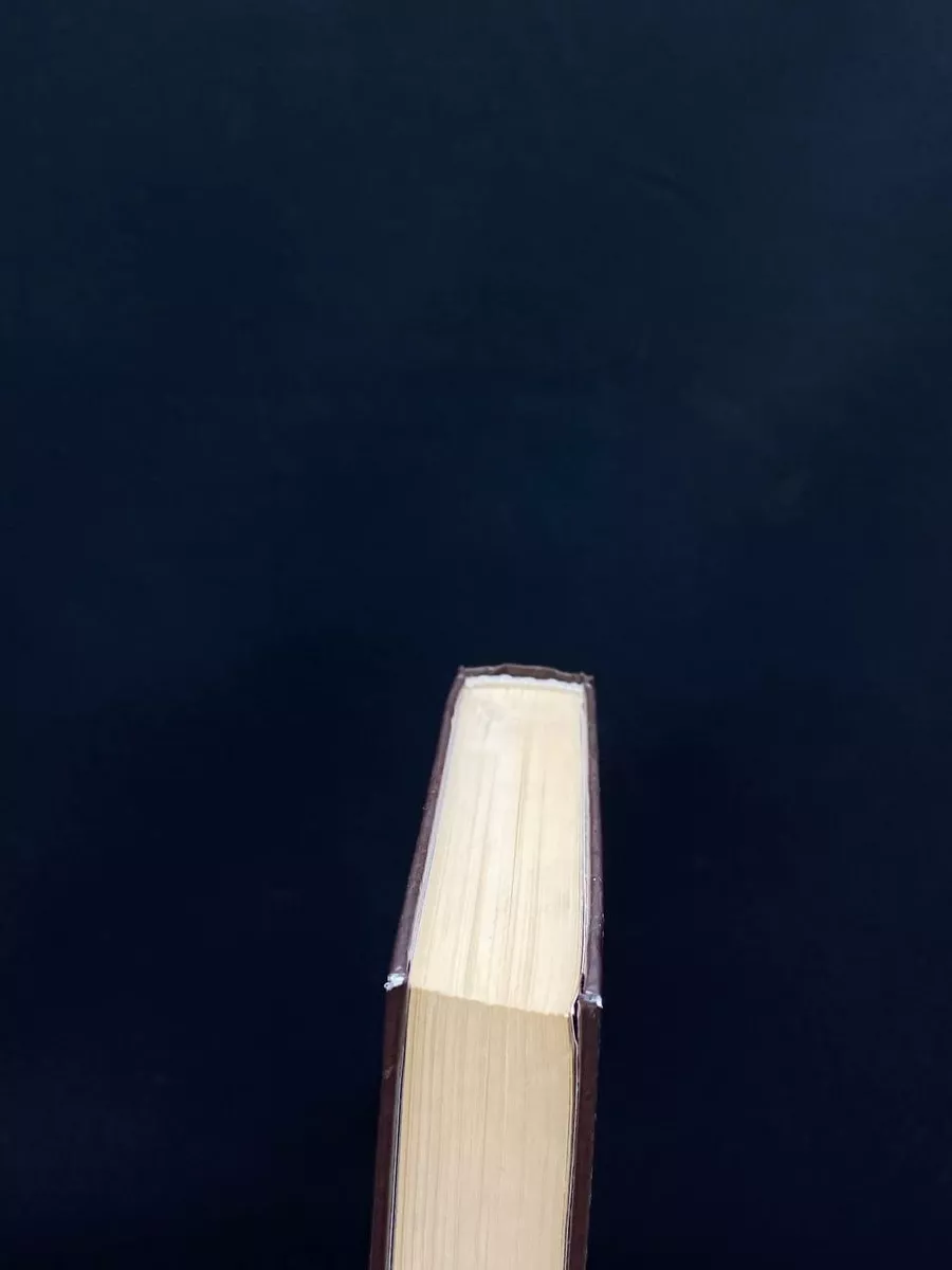 Фото 4