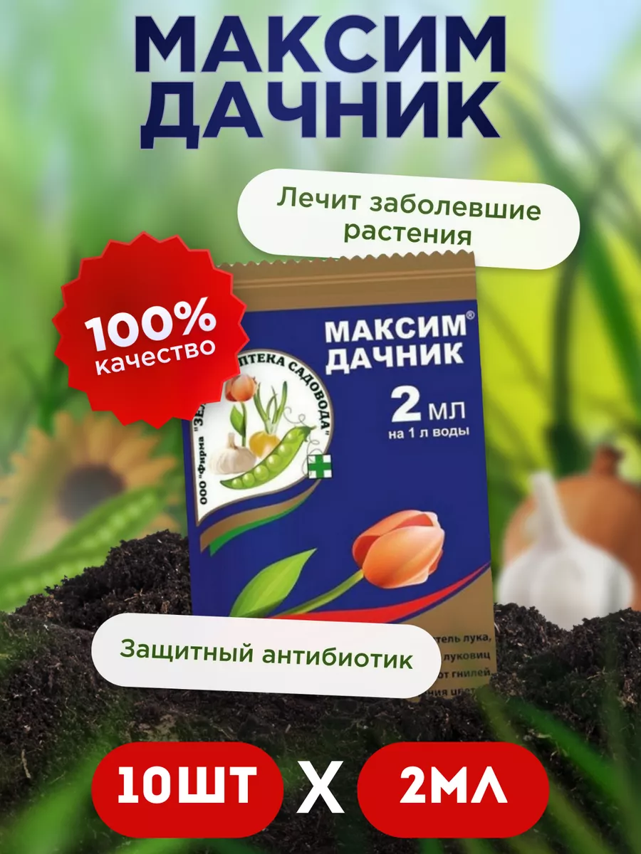 Фунгицид Максим Дачник защита от гнилей 10 шт по 2 мл Зеленая Аптека  Садовода 172951983 купить в интернет-магазине Wildberries