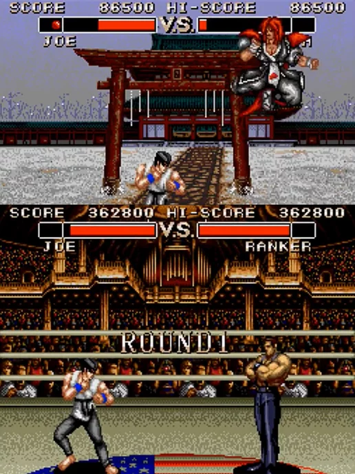 DEX Джойстик Сега с картриджем для Sega Deadly Moves, черный, фото 7