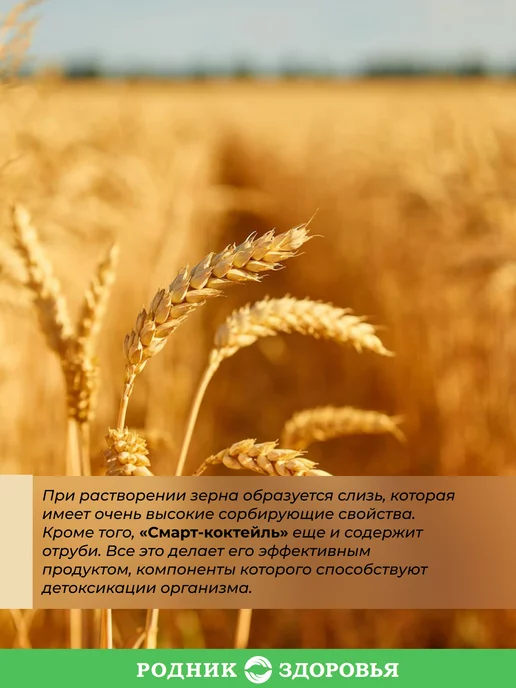 Родник Здоровья Диетический овсяный коктейль для похудения без сахара, вариант, фото 2