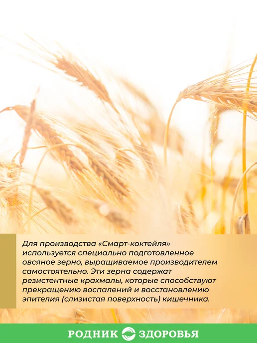 Родник Здоровья Диетический овсяный коктейль для похудения без сахара, вариант, фото 4