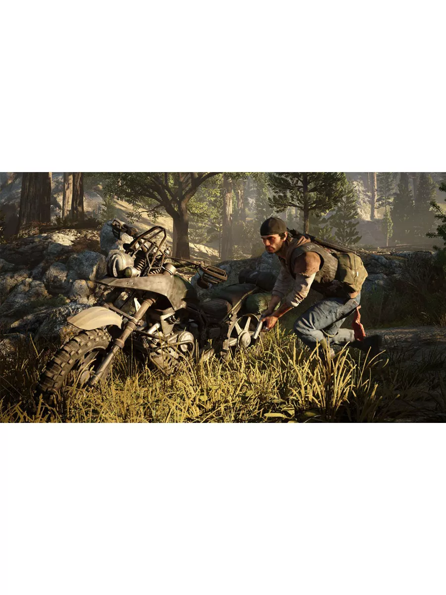 Days Gone ( Жизнь после ) PS4 Русская версия БУ PlayStation 173041533  купить за 3 688 ₽ в интернет-магазине Wildberries