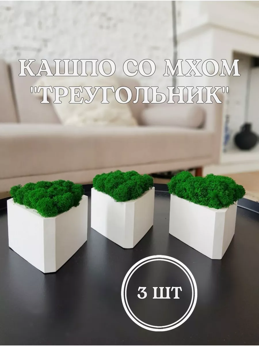 Стены из мха