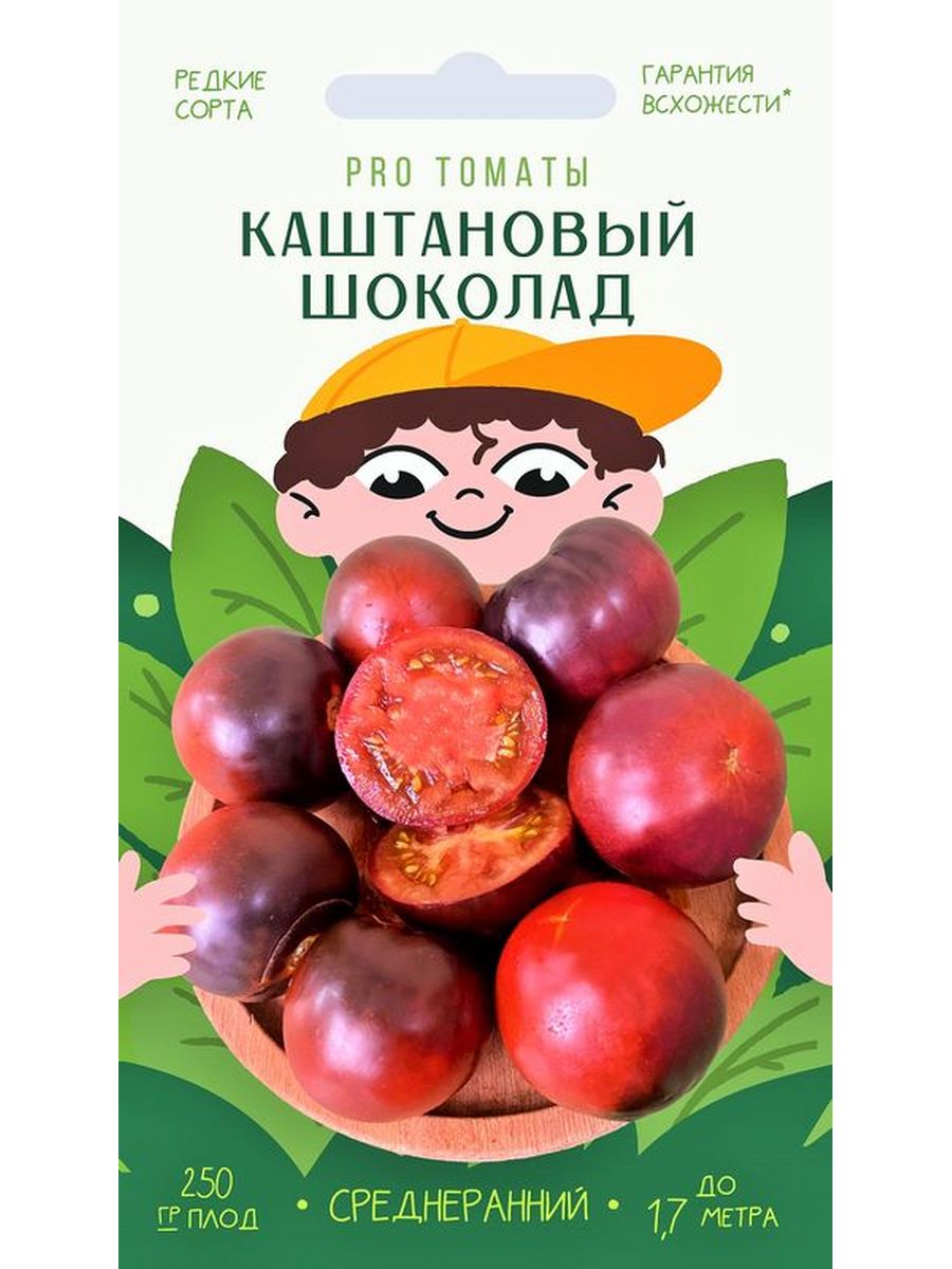 Шоколад семенов. Томат Chestnut Chocolate (каштановый шоколад). Сорт томата каштановый шоколад. Помидоры каштановый шоколадный. Каштановый шоколад помидоры.