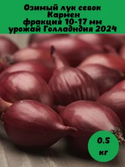 Лук севок красный кармен BelGarden 173127470 купить за 401 ₽ в интернет-магазине Wildberries