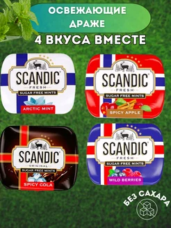 Конфеты драже Скандик сладости для детей и взрослых SCANDIC 173145882 купить за 255 ₽ в интернет-магазине Wildberries