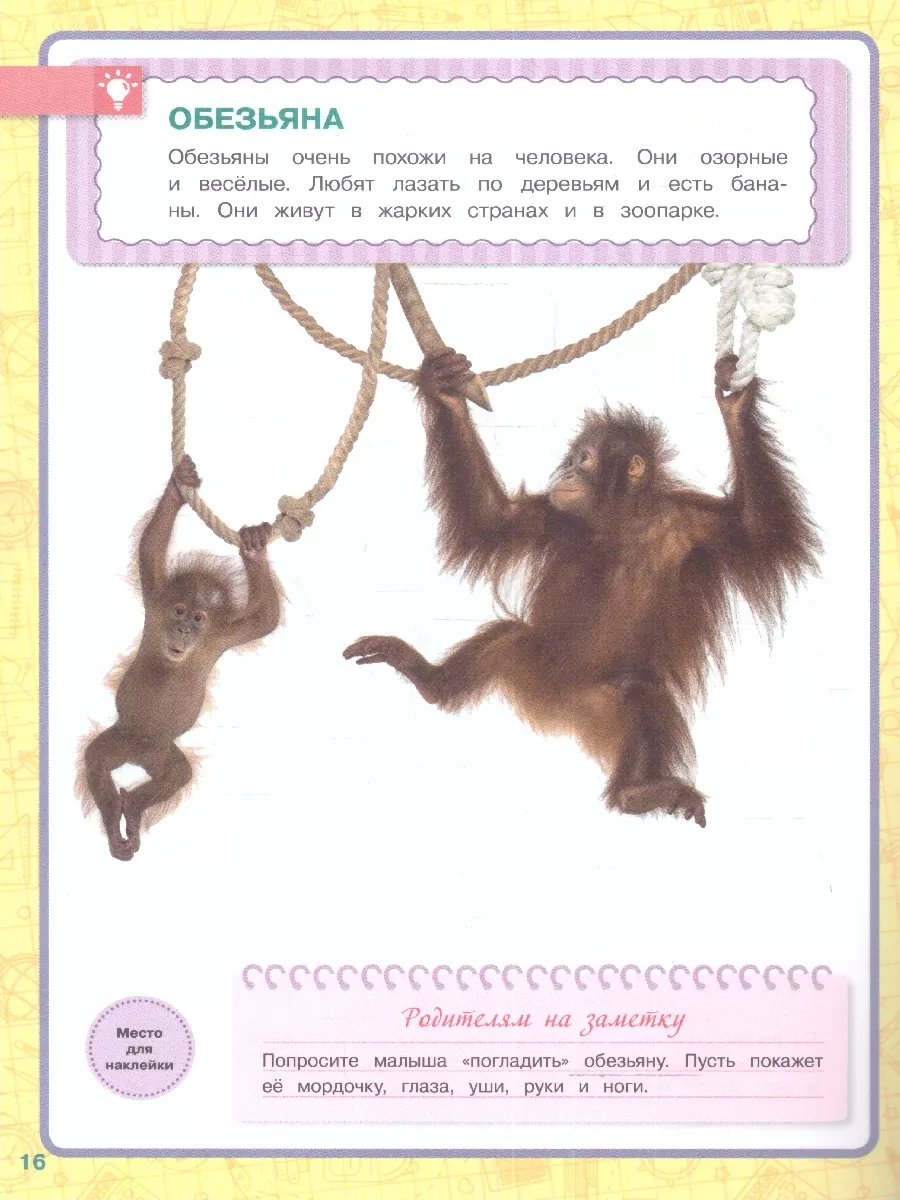 101 обезьяна своими руками в разных техниках рукоделия: выбери свой символ 2016 года! | Крестик