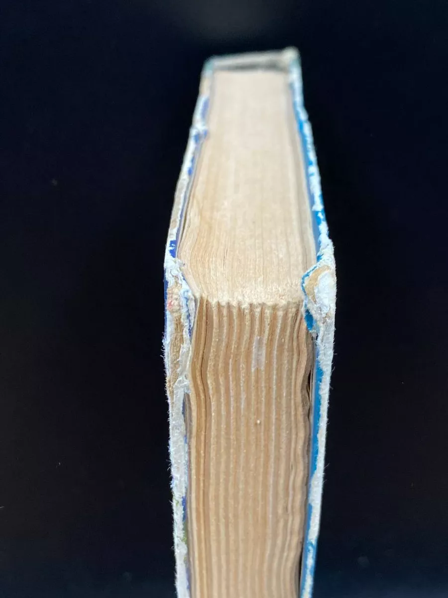 Фото 4