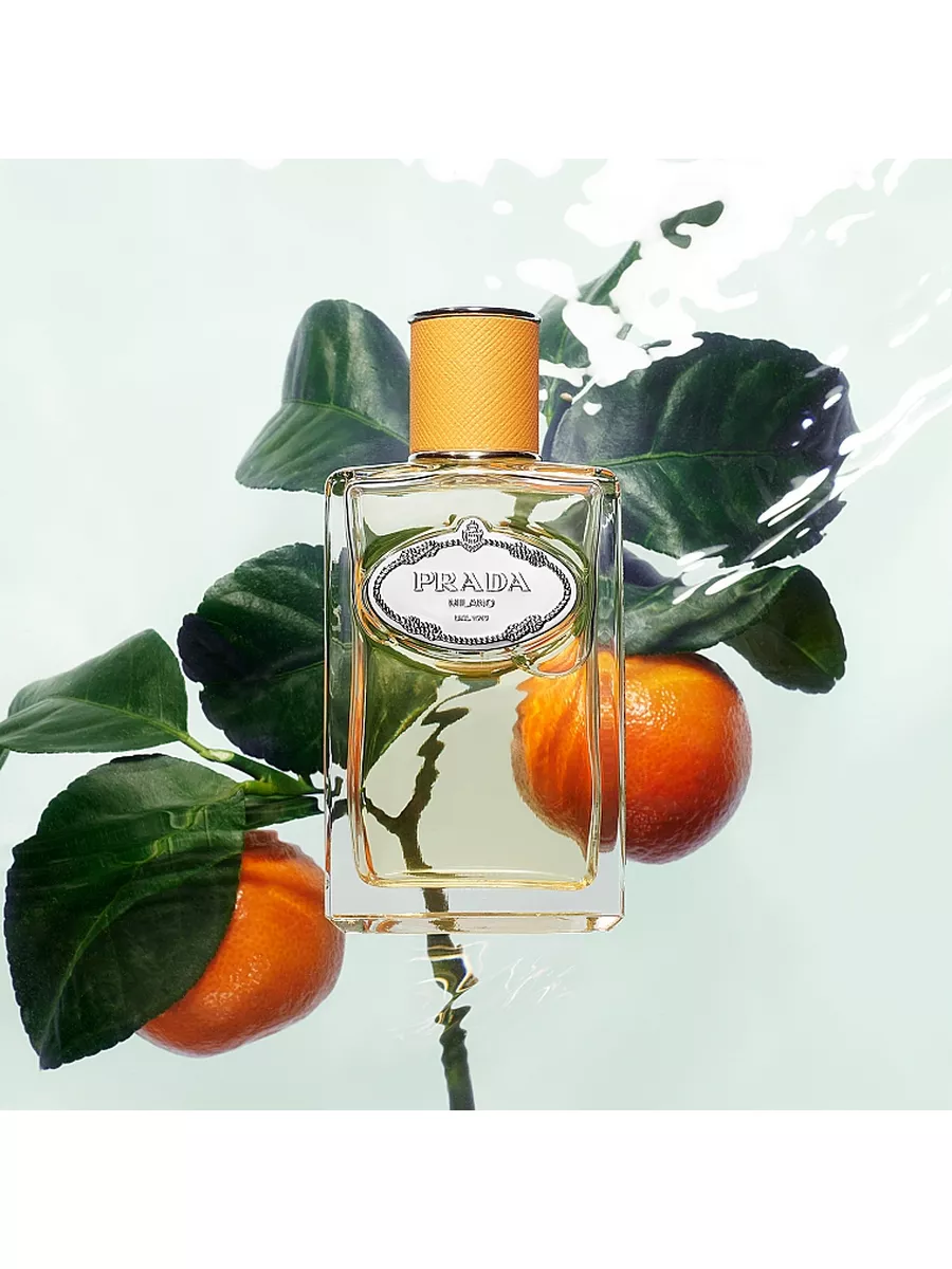 Infusion 2025 mandarine prada