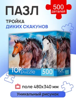 Пазлы развивающие для детей и взрослых 500 элементов Рыжий Кот. 173231879 купить за 200 ₽ в интернет-магазине Wildberries