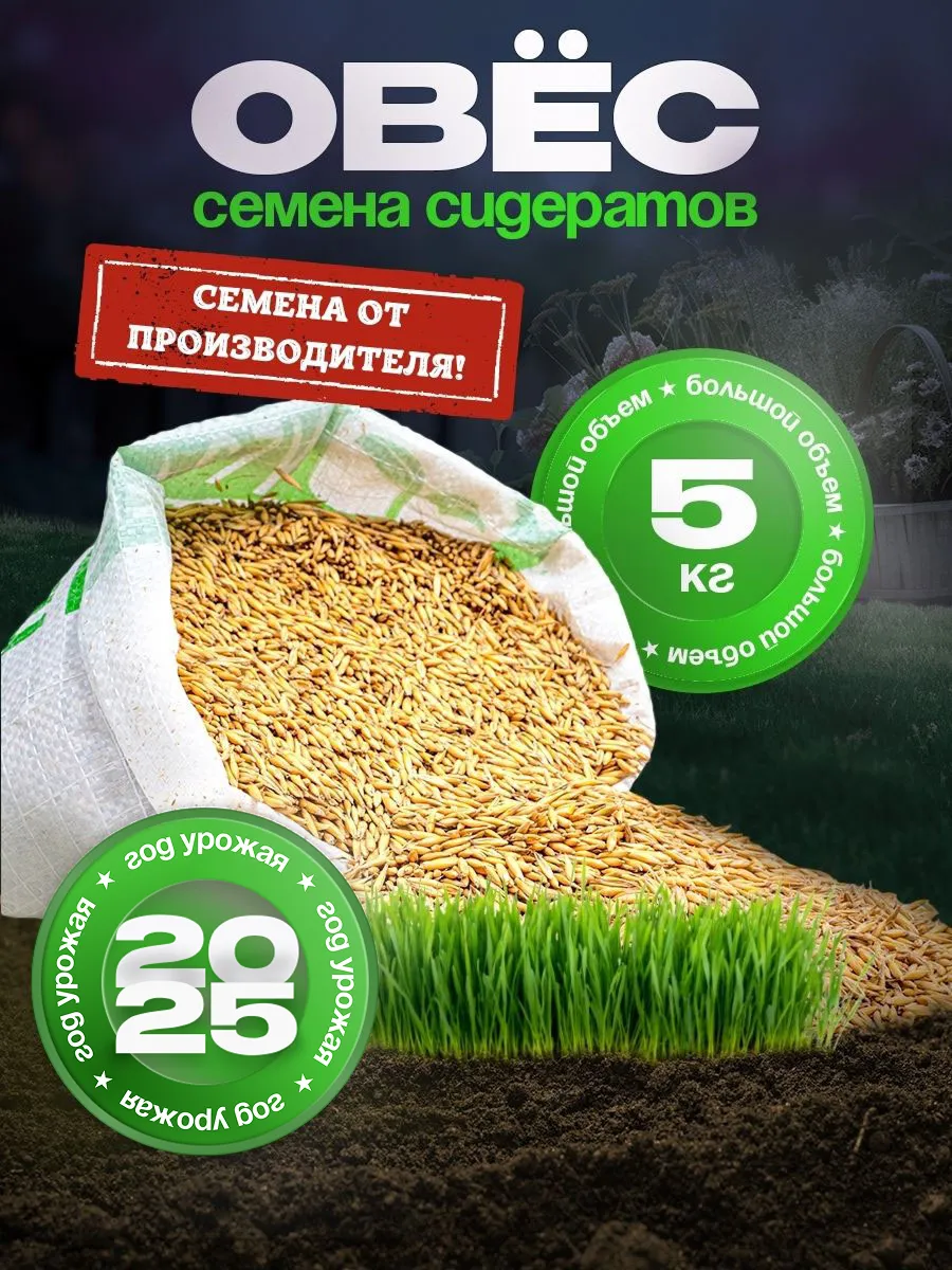 Семена Овес 5 кг сидераты