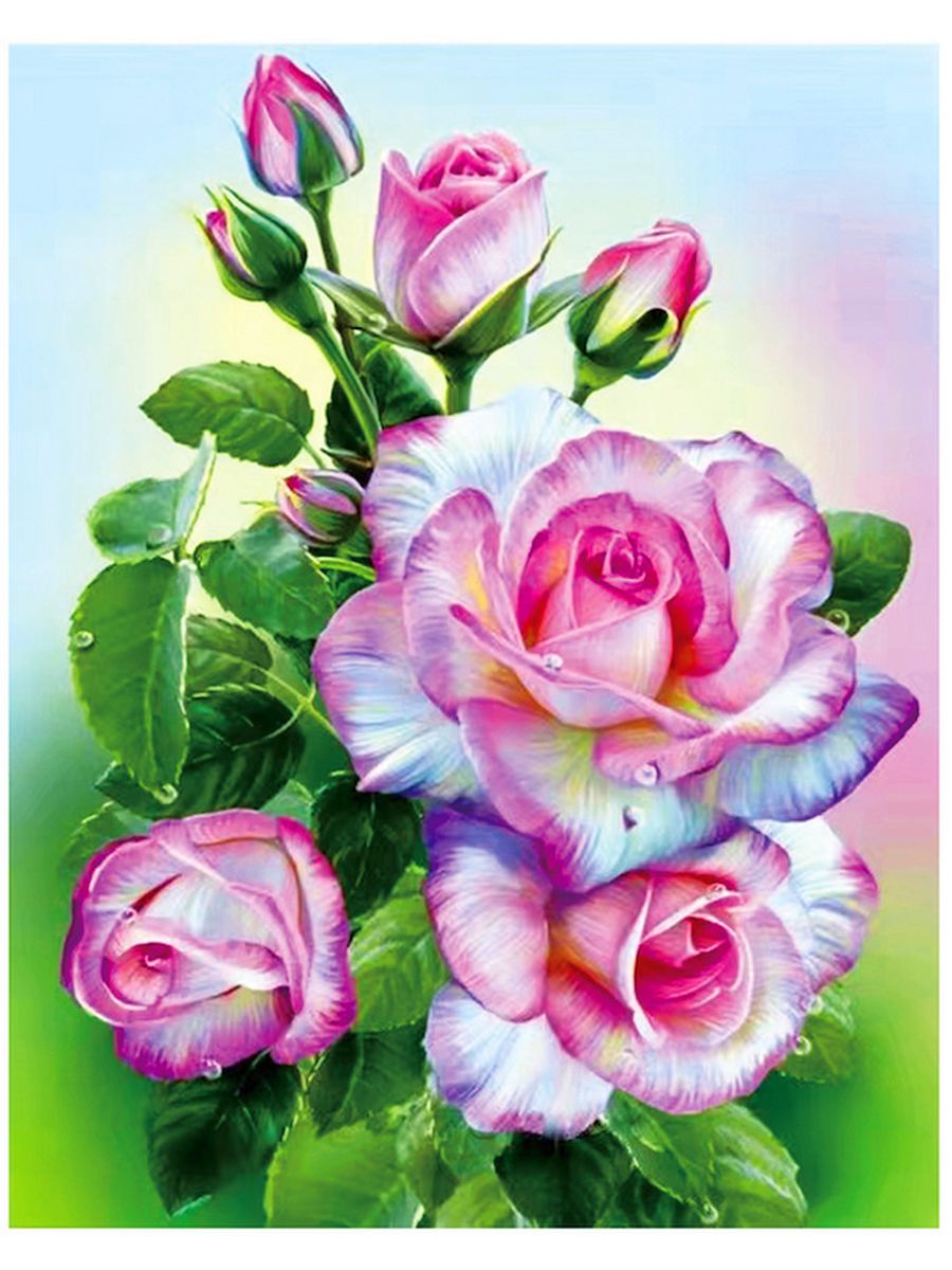 С днем рождения племянницу 30 лет. Розовые розы. Открытка цветы. Открытки с цветами красивые. Открытки с розами.