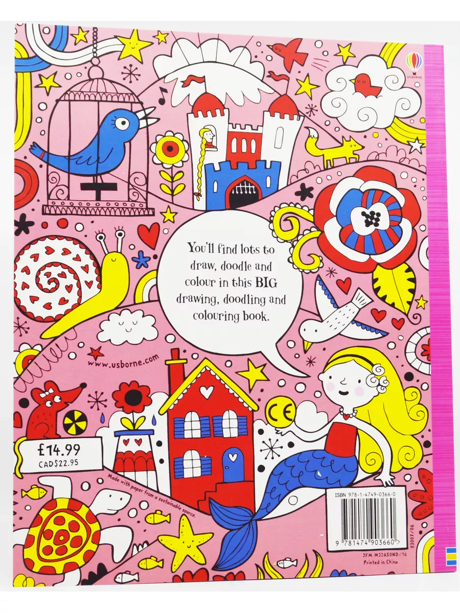 Big Drawing Book (Usborne Drawing, Doodling and Colouring)