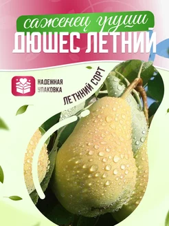 Груша Дюшес Garden Seasons 173289616 купить за 395 ₽ в интернет-магазине Wildberries