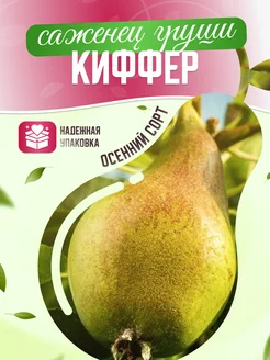 Груша Киффер Garden Seasons 173300097 купить за 382 ₽ в интернет-магазине Wildberries