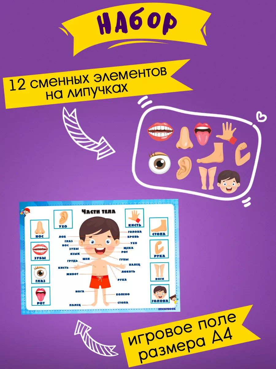 Игры для детей развивающие интересные на липучках, Тело Stickybook  173317590 купить за 261 ₽ в интернет-магазине Wildberries